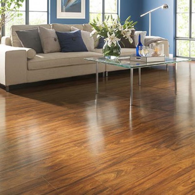 พื้นและอุปกรณ์